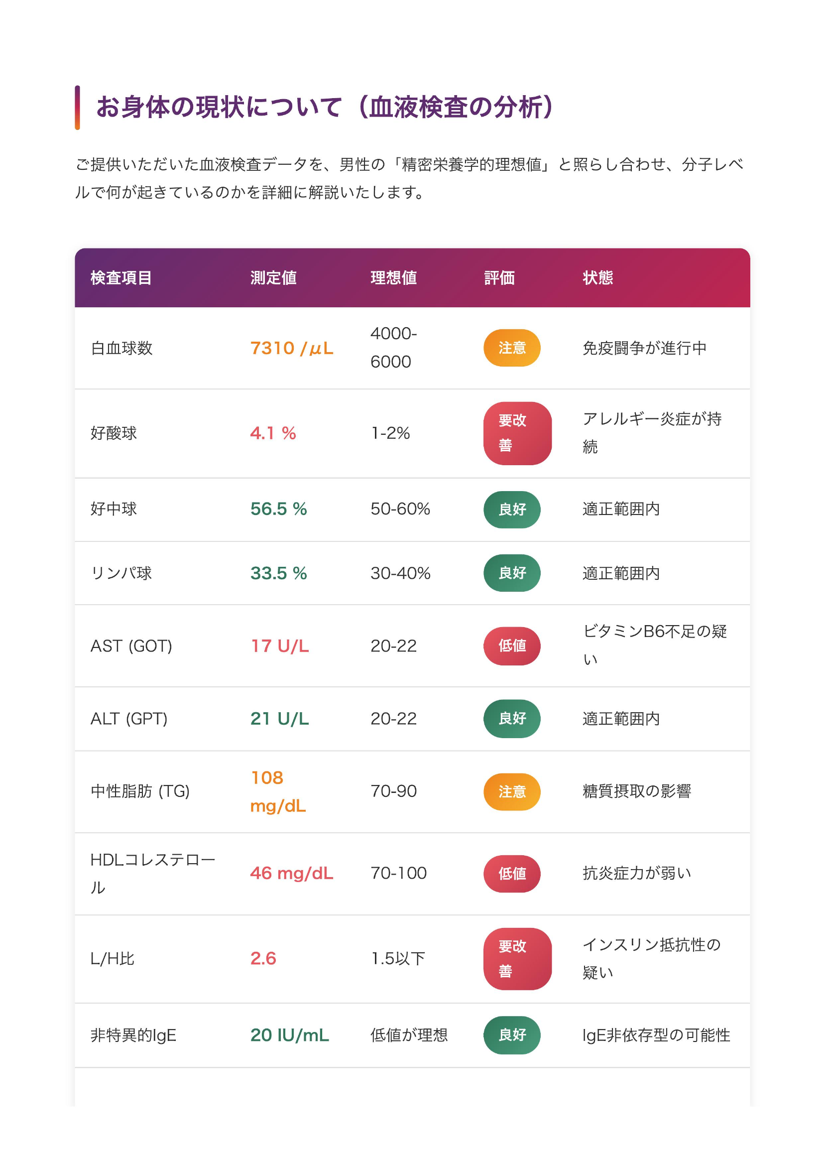 精密栄養解析レポート - 血液検査分析
